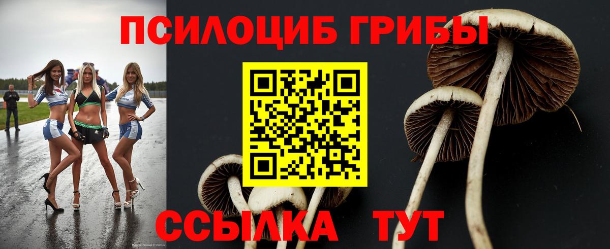 где продают   Вход с VPN  Галлюциногенные грибы Psilocybe  Верхний Уфалей  Псилоцибиновые грибы MAGIC MUSHROOMS 